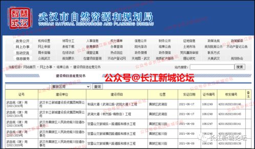 長江新區武湖兩大動脈即將啟動建設，不動產登記代理服務迎發展新機